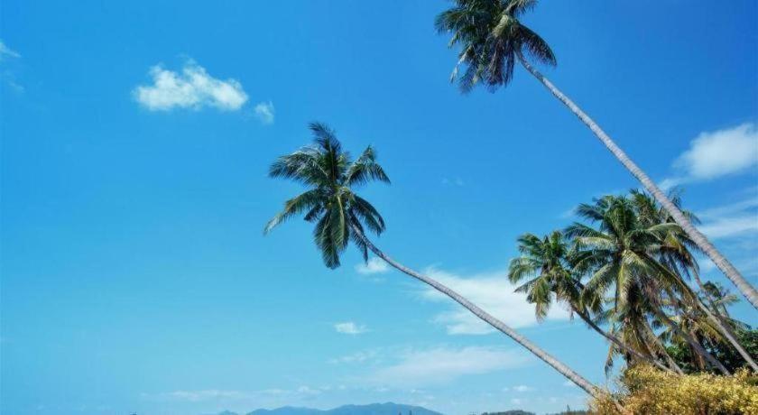 ซี สวีท วิลลา Hotel หาดเฉวง ภายนอก รูปภาพ